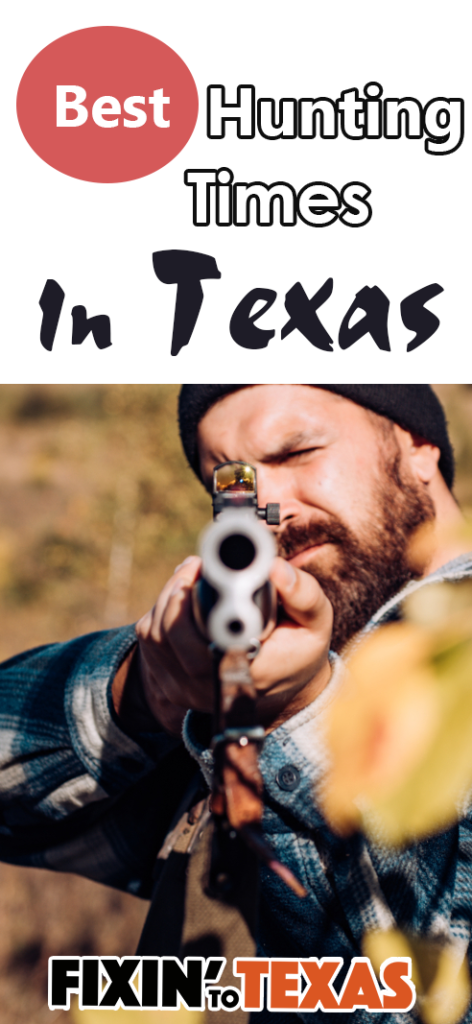texas hunting season