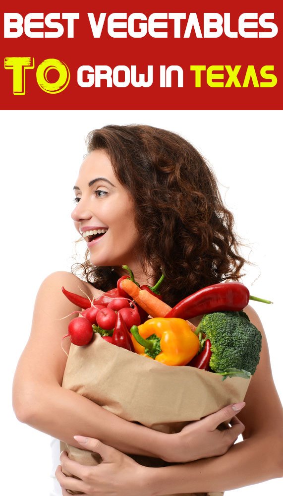 Best Vegetables To Grow In Texas Region Wise 2022 