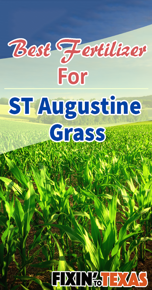 St Augustine grass fertilizer 